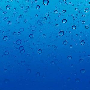 Meet your Posher, Darius